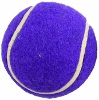 Walkerballs Purple